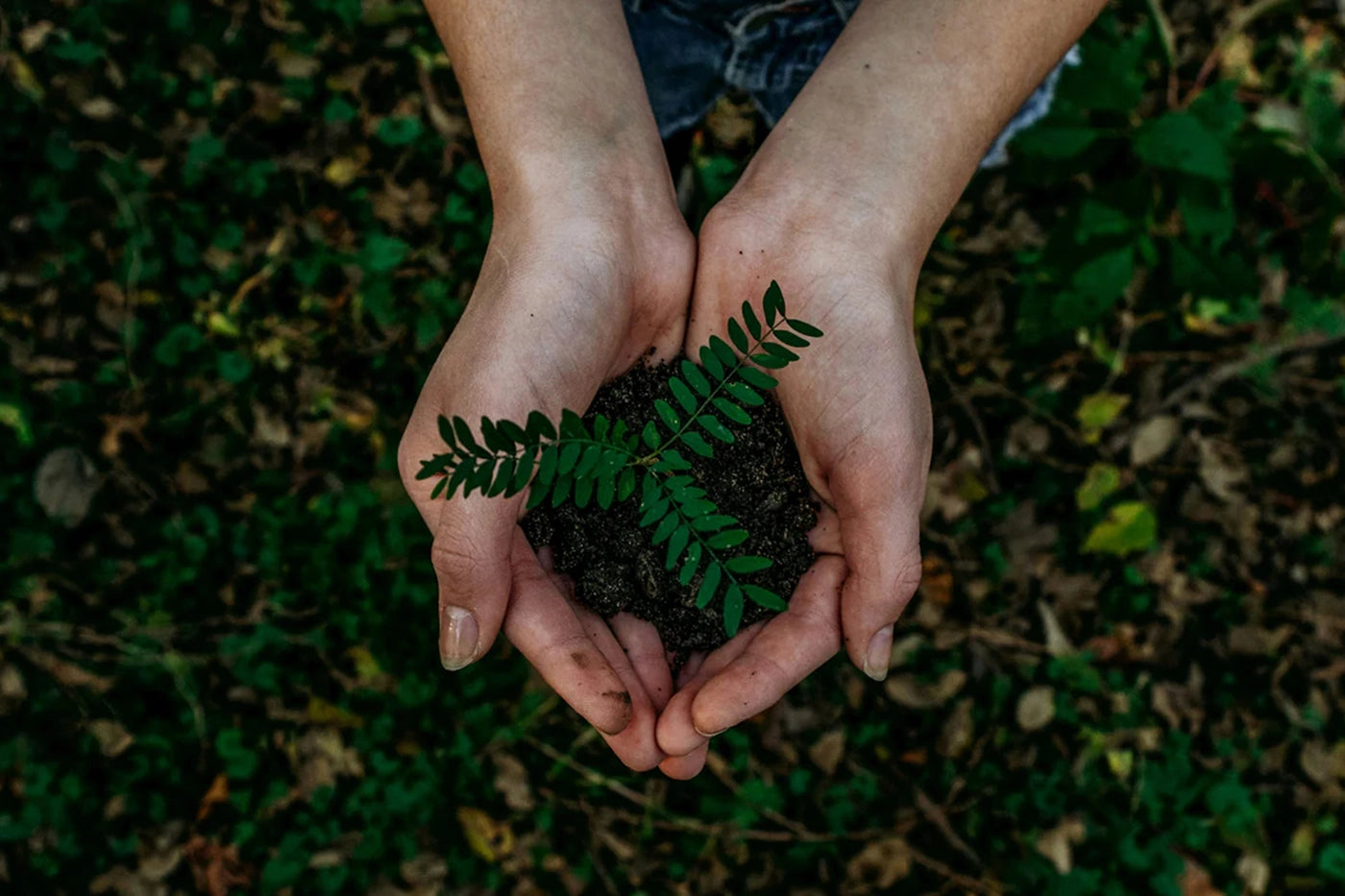 Celebrate Earth Day with Green Energy: Upgrade to LED Lights to Save Bills and Energy