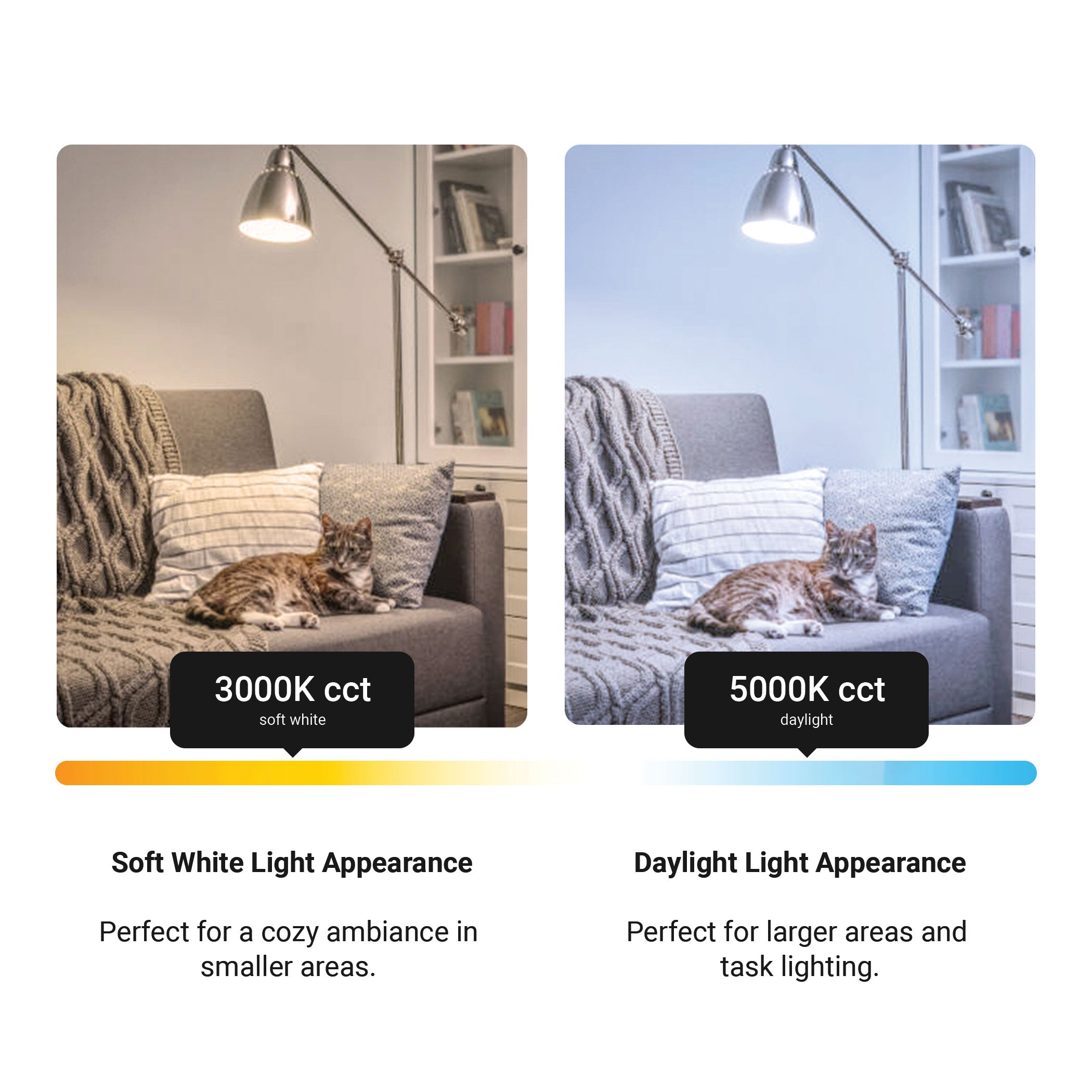 1500 Lumen LED A19 Bulb, 15-Watt, 100-Watt Equivalent E26, 10-Pack