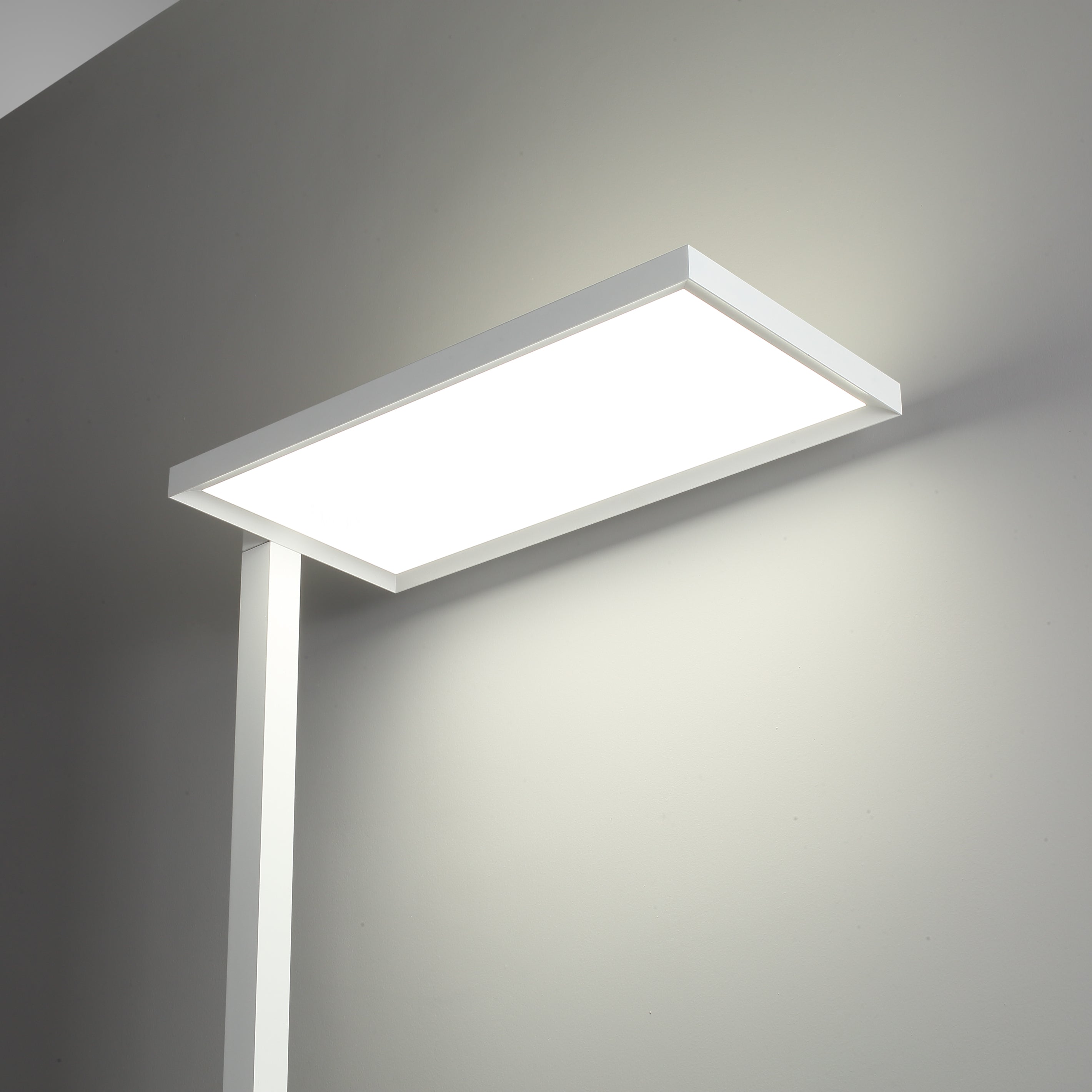 GT-Lite Duo Light Eye Protection LED Floor Lamp Pro