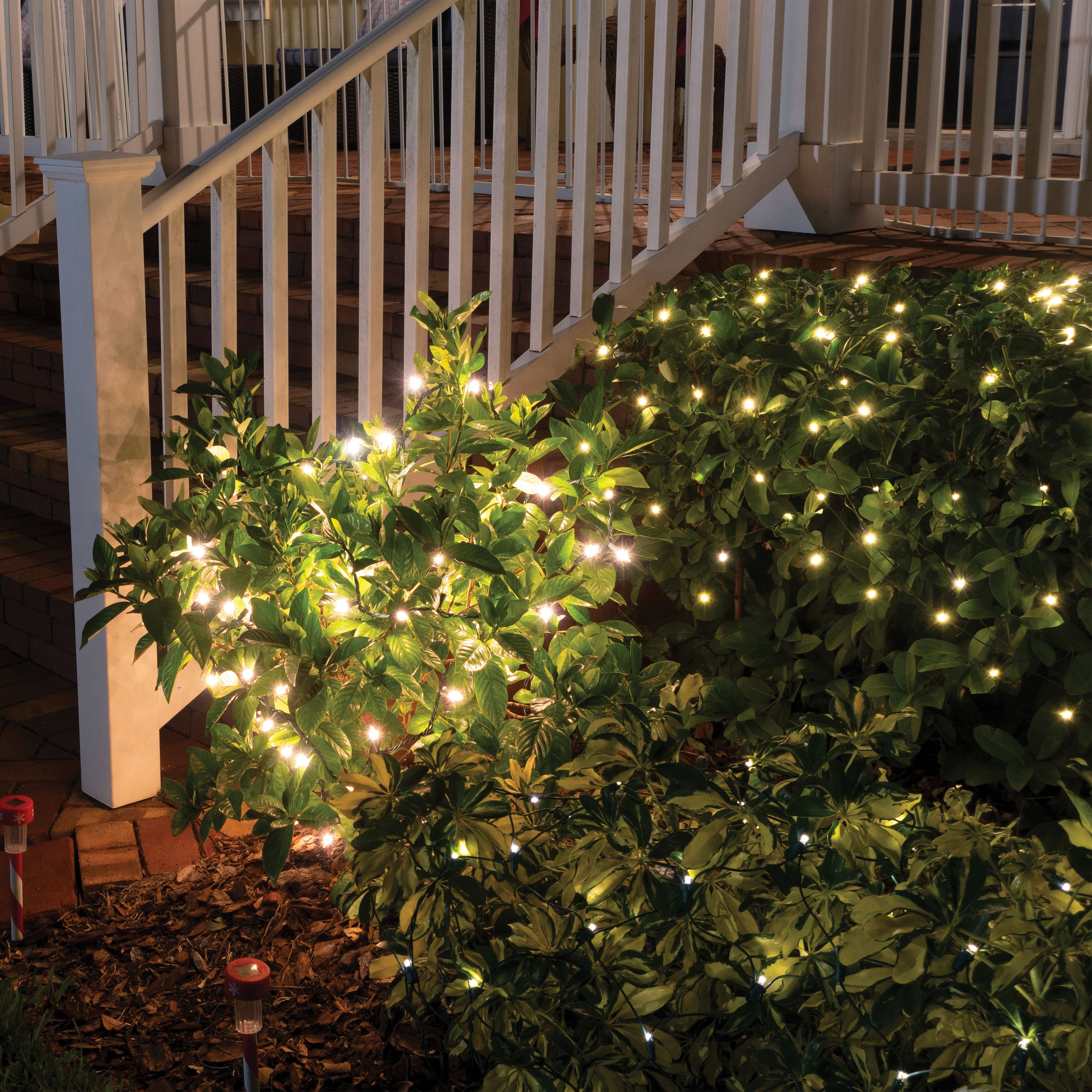 54 ft. LED 150-Light Solar String Light