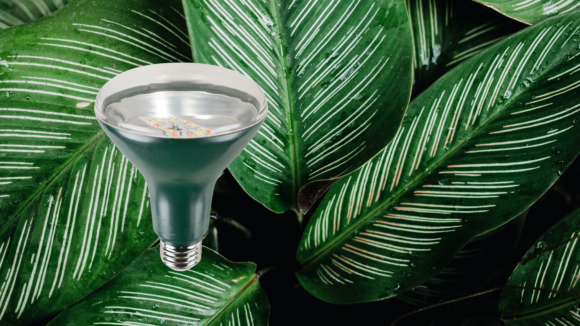 Grow Lights for Plants and Vegetables