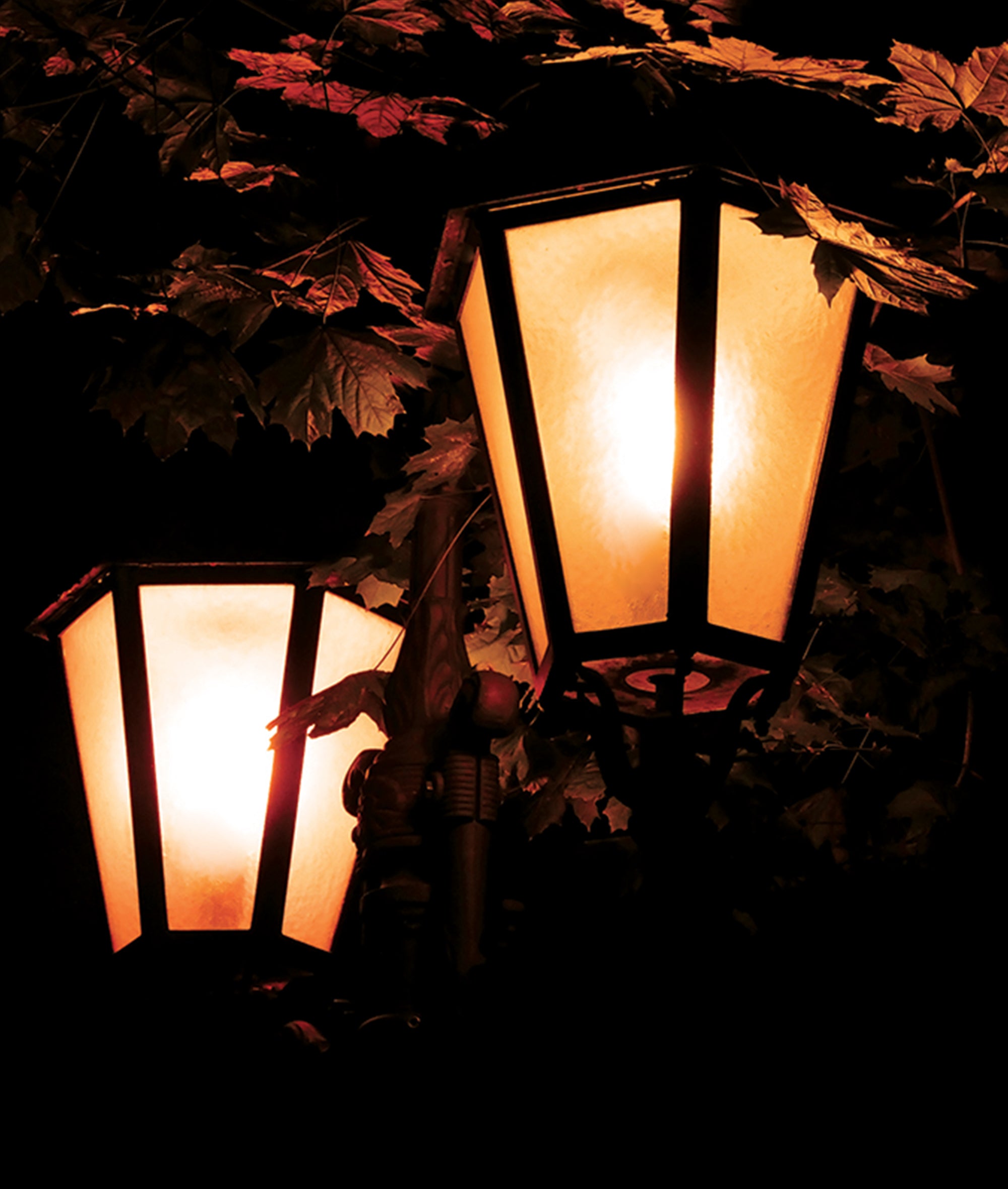 Park light