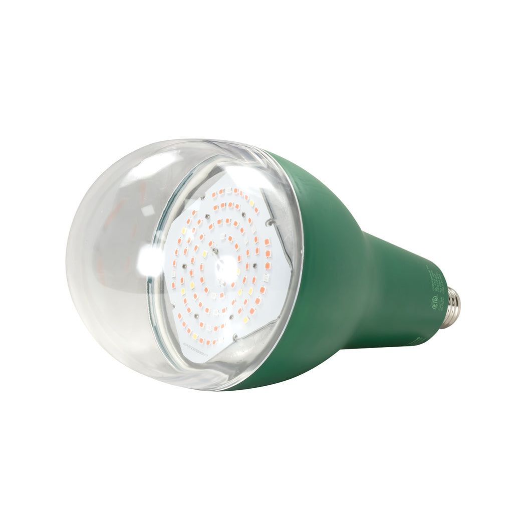 Led deals bulb grow