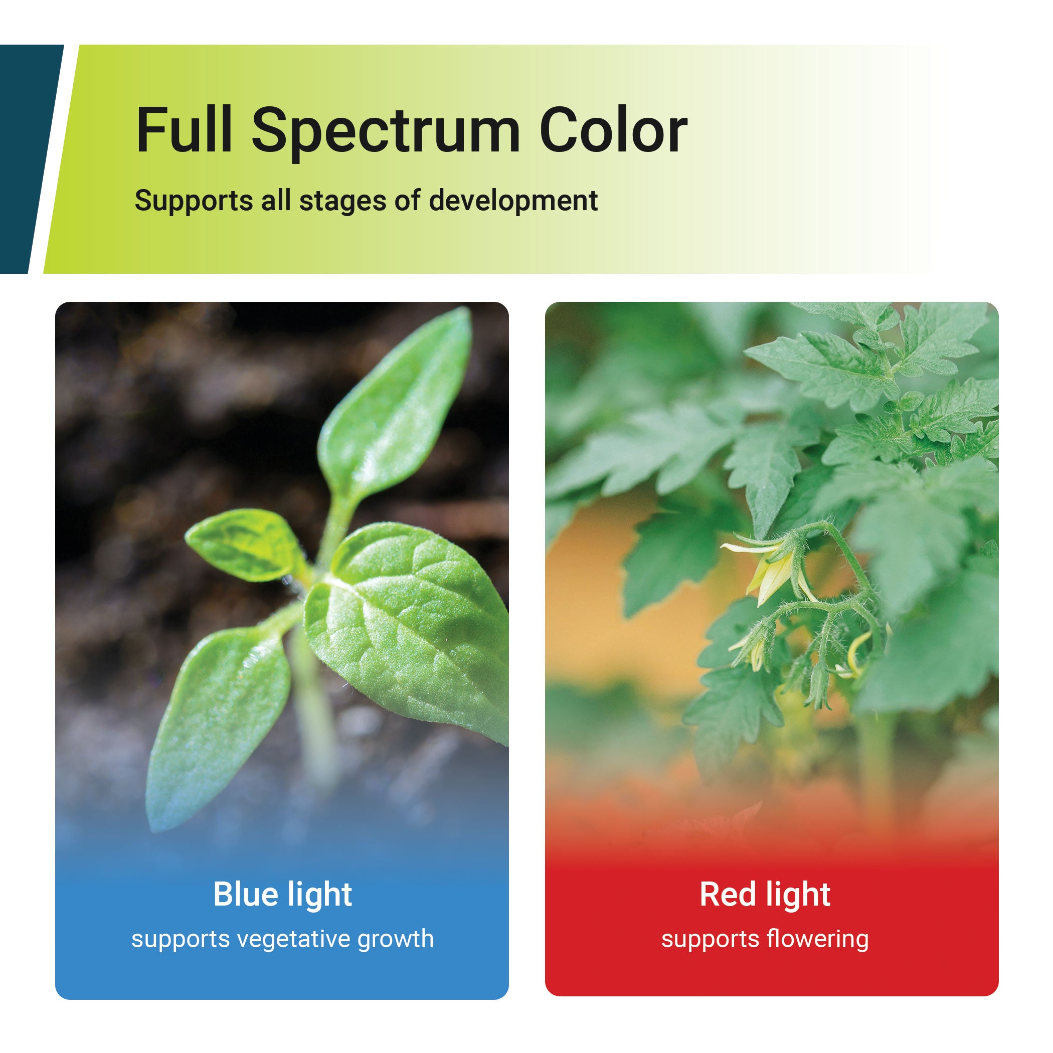 LED Grow Light Bulb