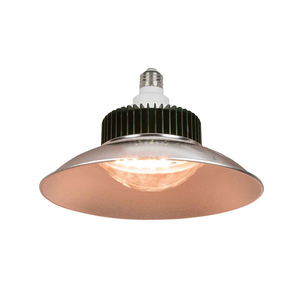 LED Grow Light Bulb
