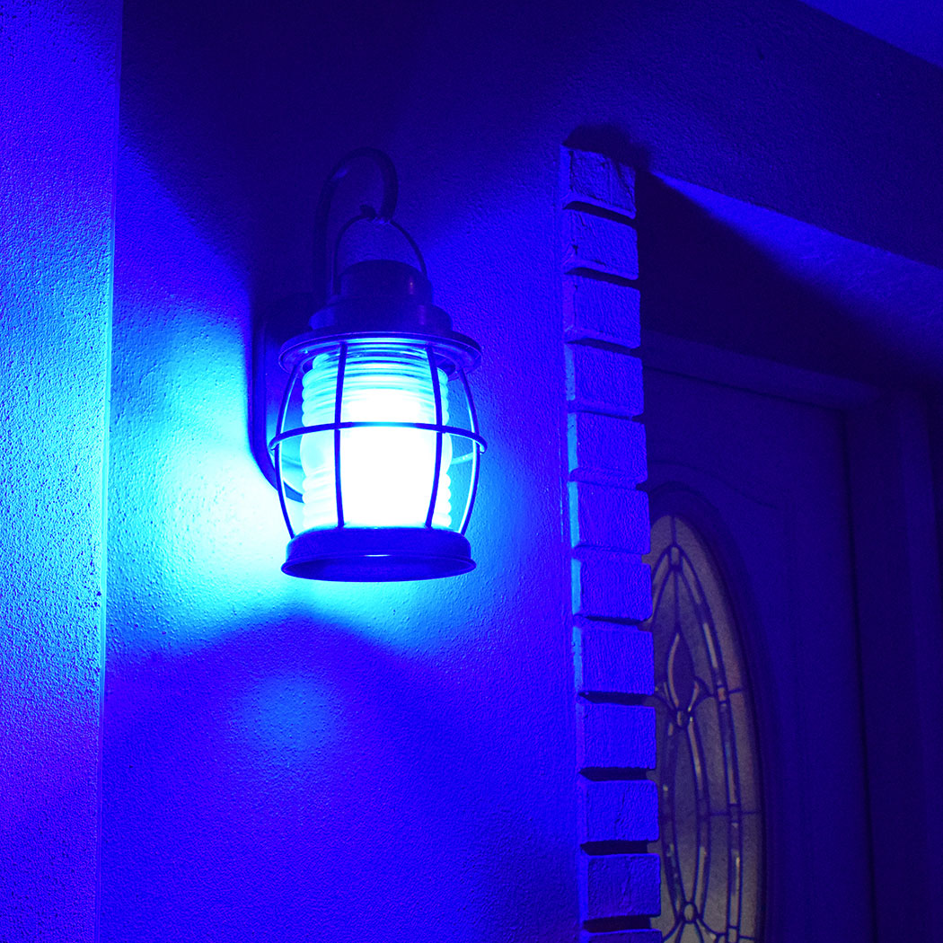 Flame Bulb