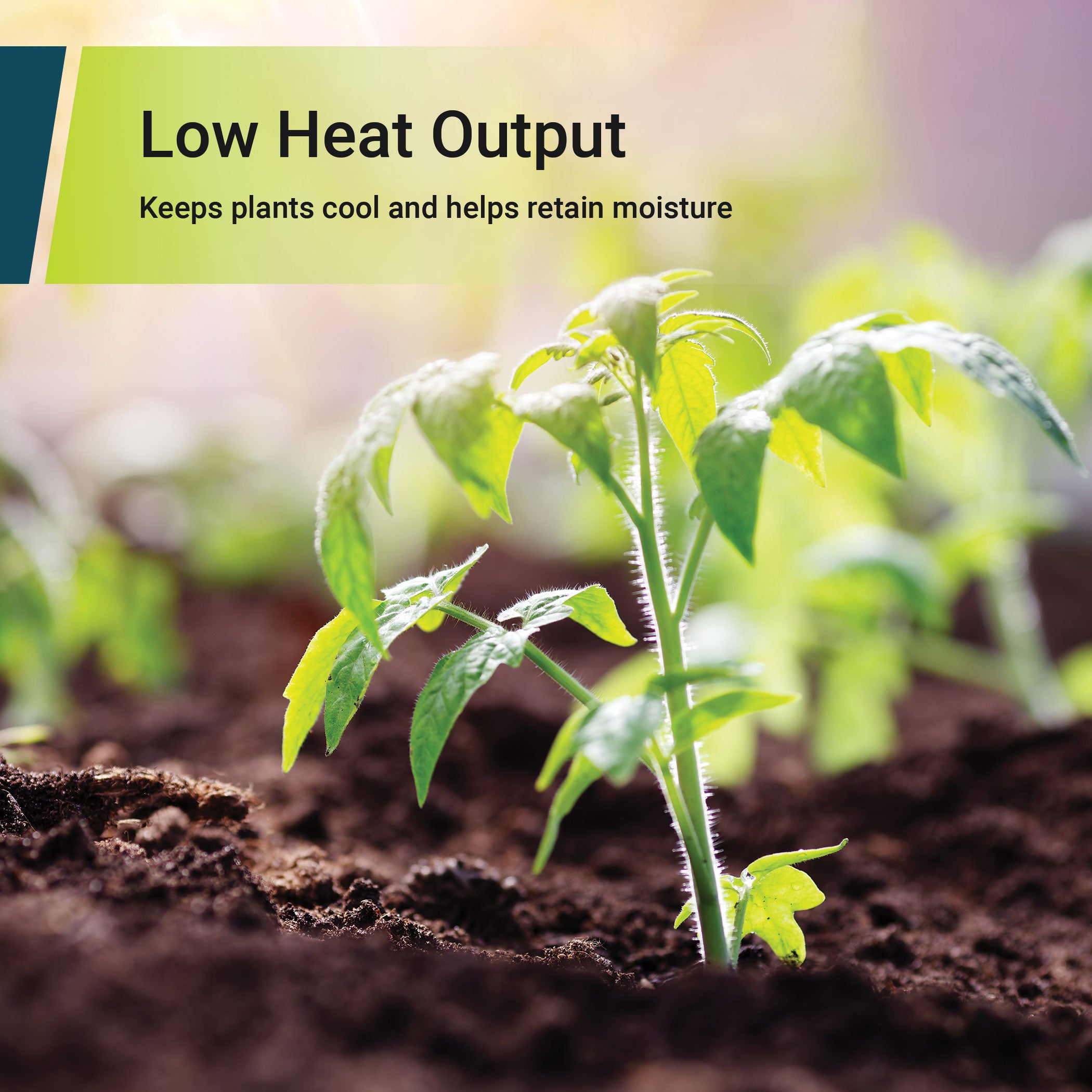 40.1 PPF 27-Watt Adjustable 4-Panel LED Grow Light Bulb, E26