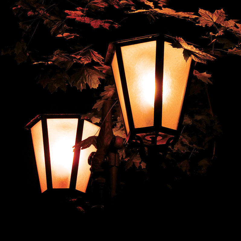 Flame Bulb