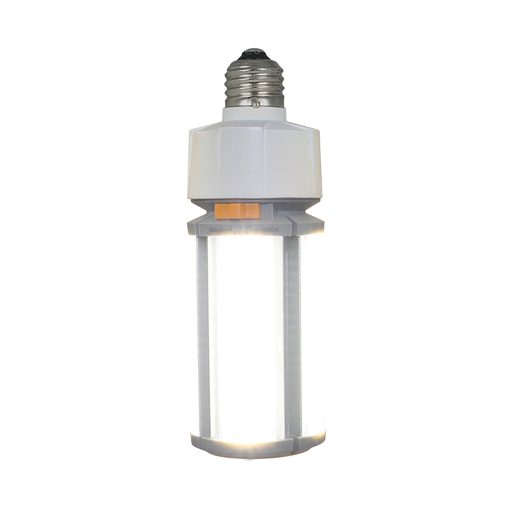 LED Cob Light Bulb