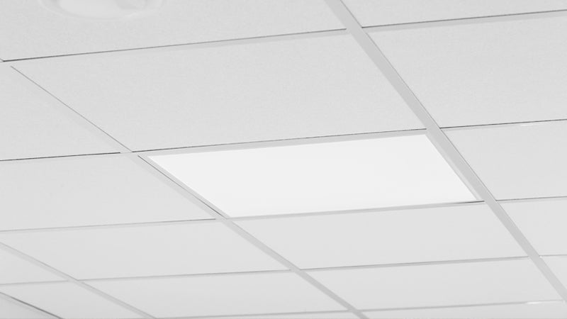 Light Bulb Panel LED Light Bulbs: Small Switch, Big Impact