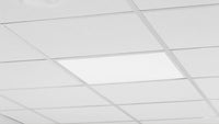 LED Light Bulbs: Small Switch, Big Impact