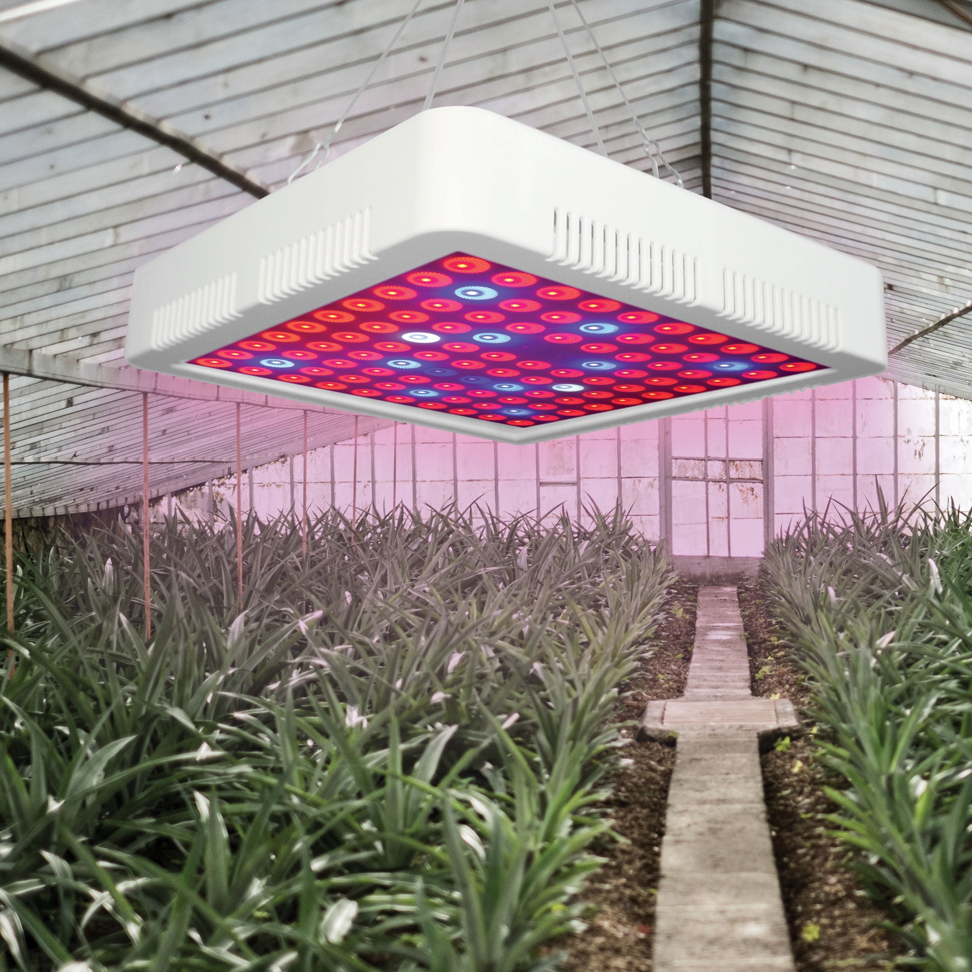 10-inch LED Grow Light 300W Equivalent