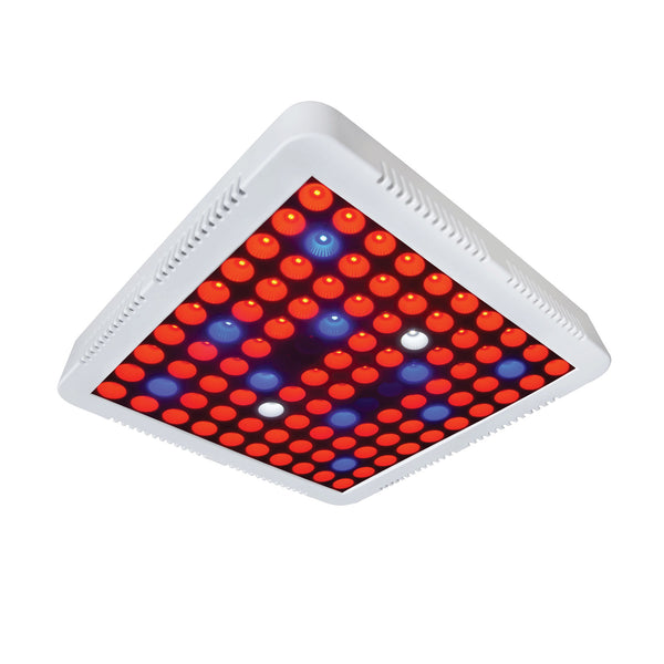 phlizon cree cob 3000w led plant grow light 10-inch LED Grow Light 300W Equivalent 1-Pack