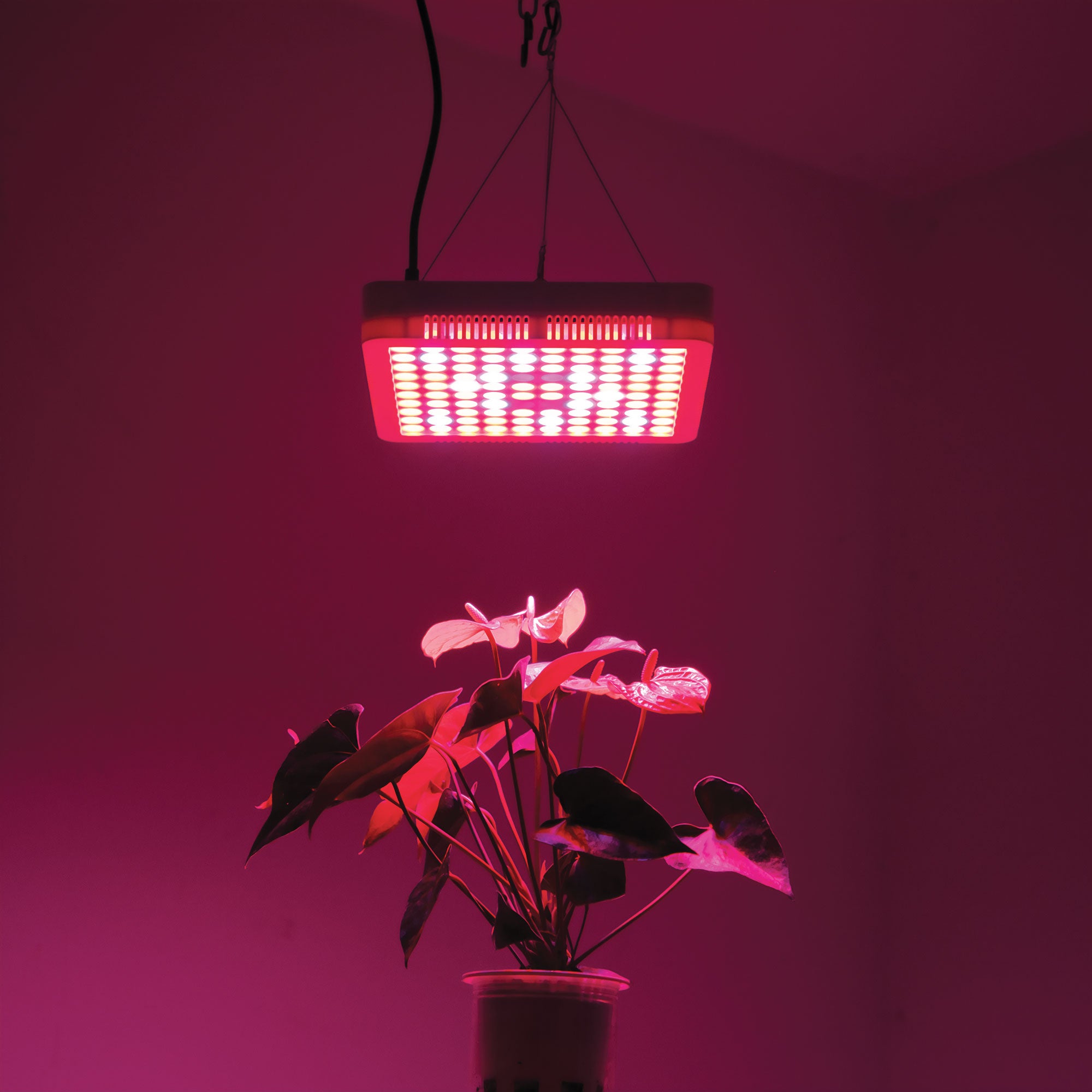 10-inch LED Grow Light 300W Equivalent