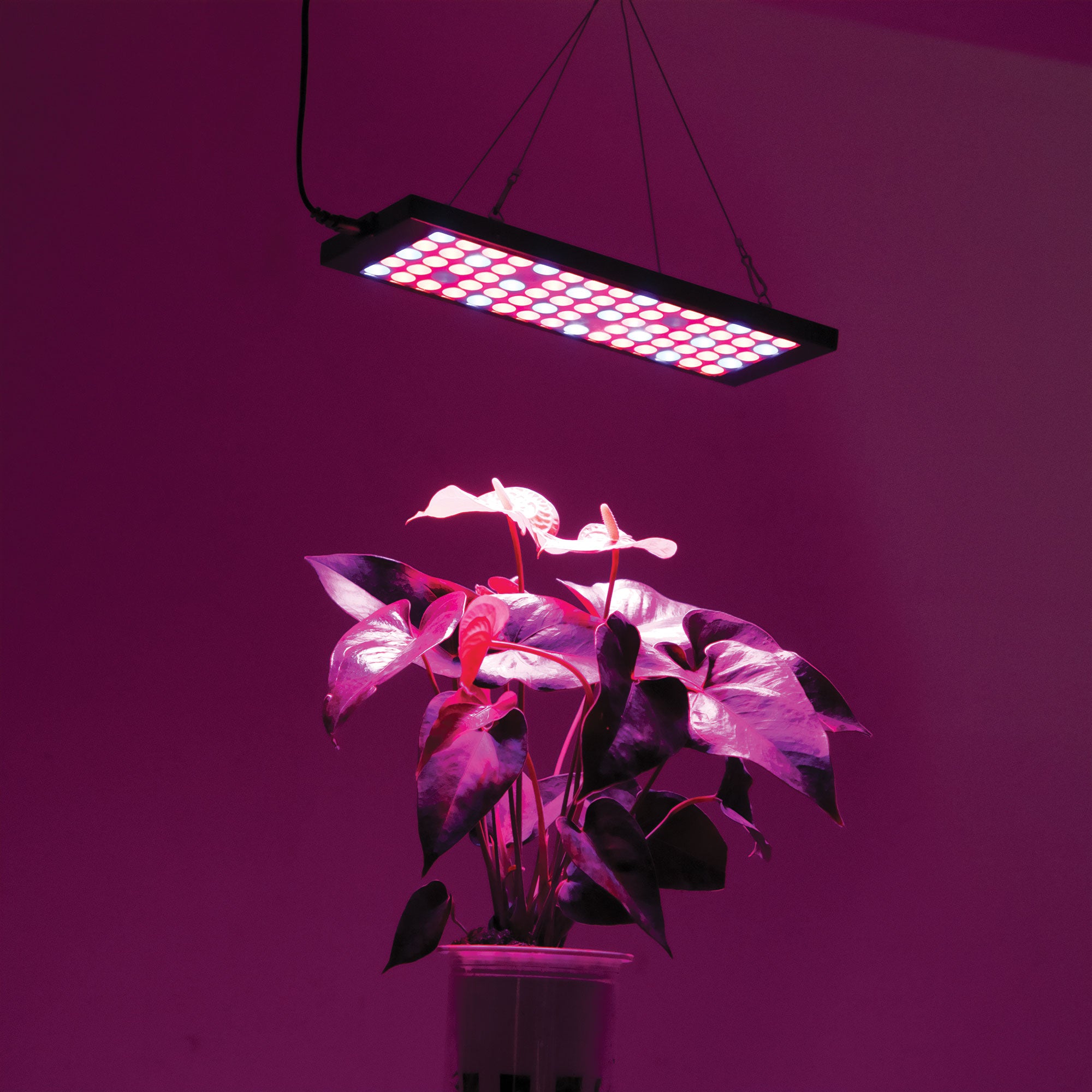 13-inch LED Grow Light 40W Equivalent