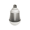 LED Misc Bulb